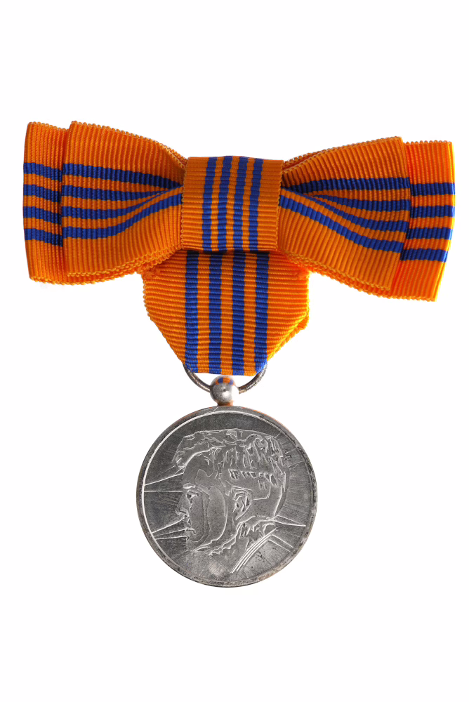 2013 Inauguration Medal