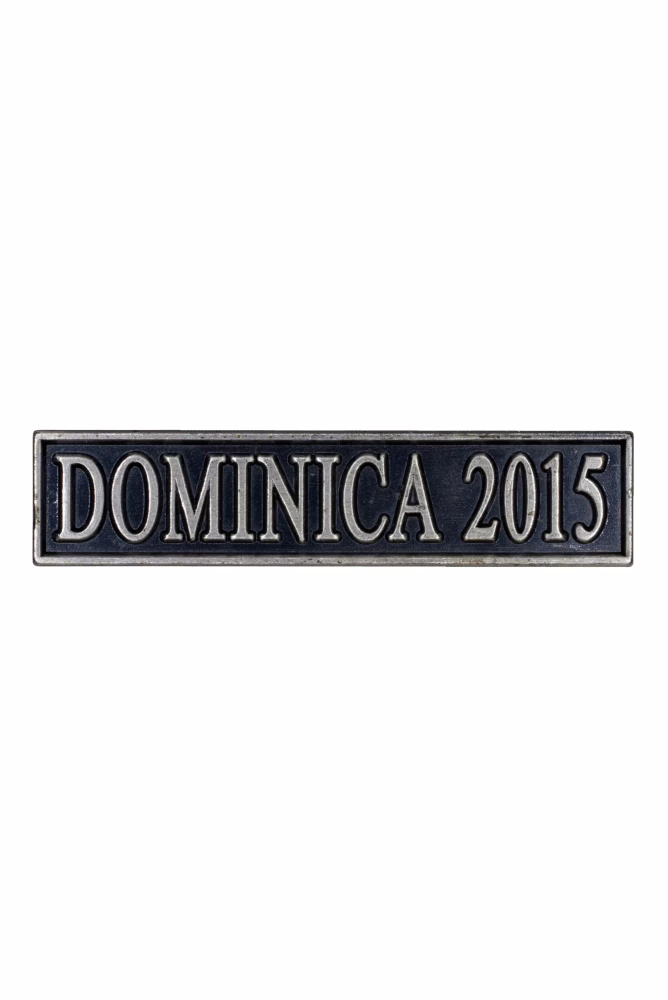 The Commemorative Medal for Humanitarian Aid in the Event of Disasters, medal with clasp DOMINICA 2015