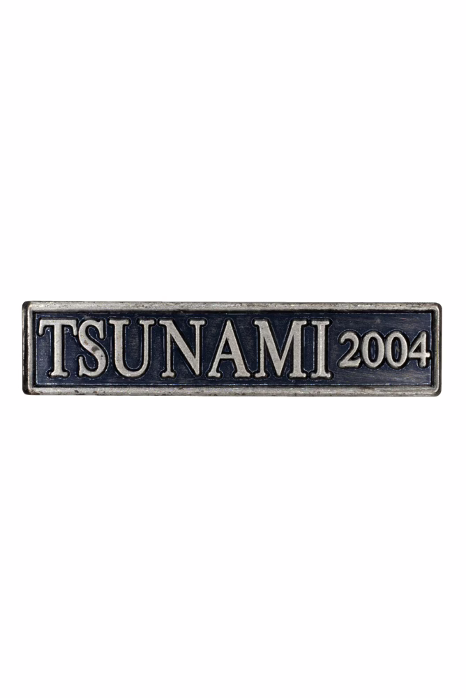 Commemorative Medal for Humanitarian Aid in the Event of Disasters, clasp: TSUNAMI 2004