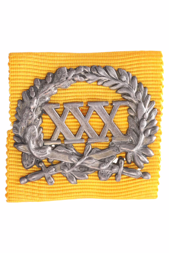 The Long Service Badge for Officers in the Militia, a variant of the military decoration from 1851